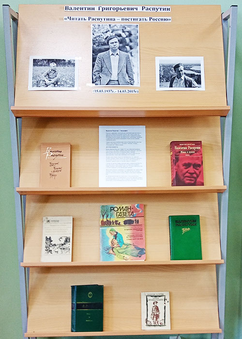 Две выставки книг в Пекшинской сельской библиотеке