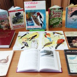 Книжная выставка «Птицы-наши друзья» в Воспушинской сельской библиотеке