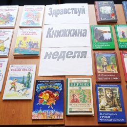 Книжная выставка «Здравствуй Книжкина неделя» в Воспушинской сельской библиотеке