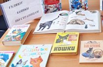 Книжная выставка «Гуляют кошки по страницам». Воспушинская сельская библиотека