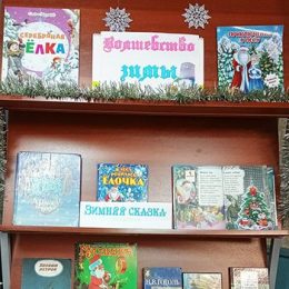 Книжная выставка «Волшебство зимы» в Костинской сельской библиотеке