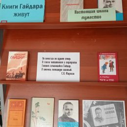 Книжная выставка «Книги Гайдара живут». Костинская сельская библиотека